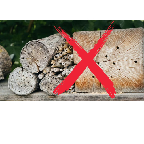 Don’t drill into the growth rings because this causes the wood to crack more quickly, making the bee hotel unusable for nesting. Cracks can let in moisture or parasites, which makes it unsafe for the bees.