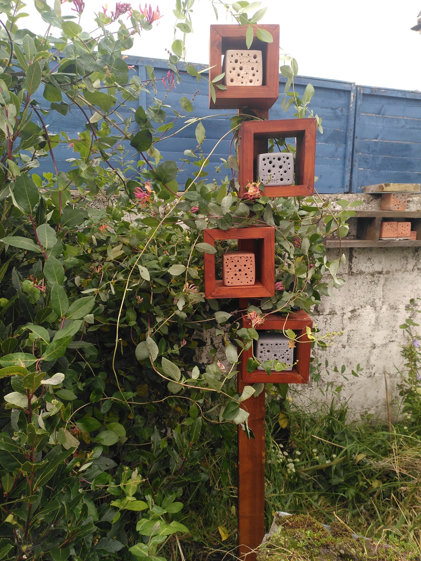 Bee stones protected from the rain. Native flowers are planted nearby such as honeysuckle.